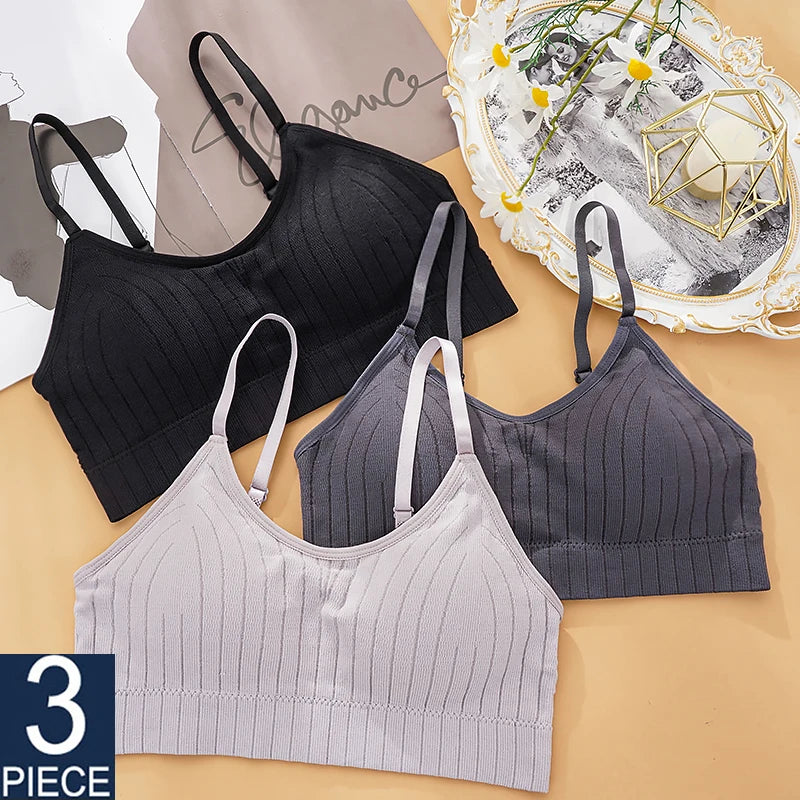 Kit com 3 Tops Femininos Sem Costura - Bralette Sem Fio, com Bojo, Ideal para Esporte, Lingerie ou Uso Diário