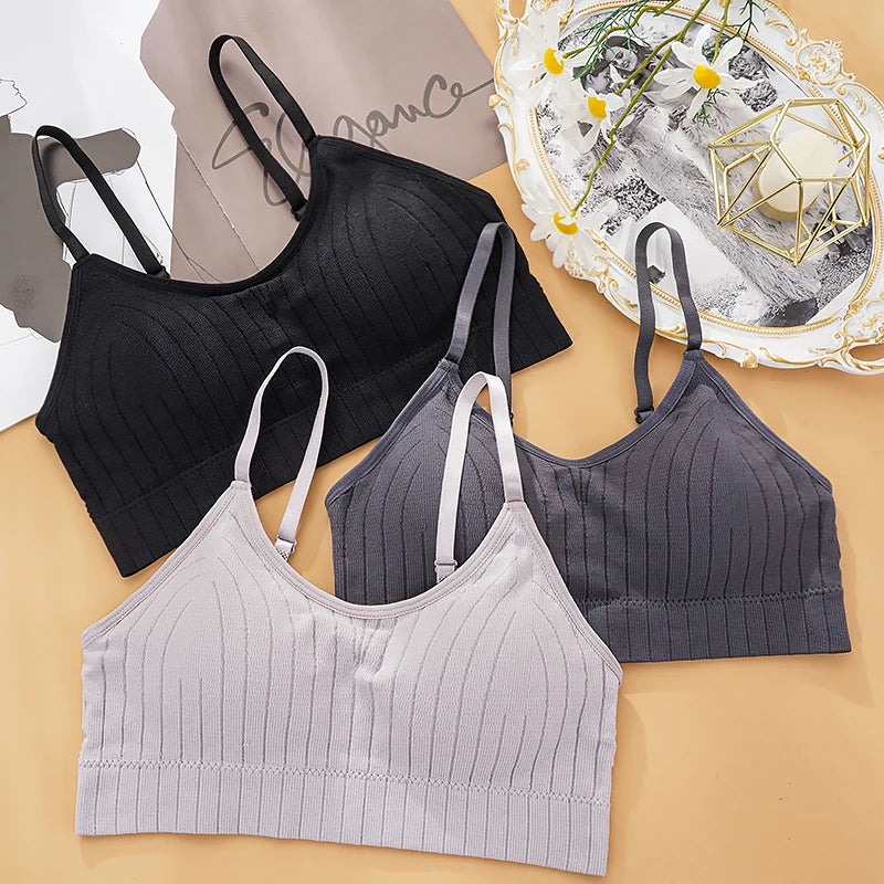 Kit com 3 Tops Femininos Sem Costura - Bralette Sem Fio, com Bojo, Ideal para Esporte, Lingerie ou Uso Diário